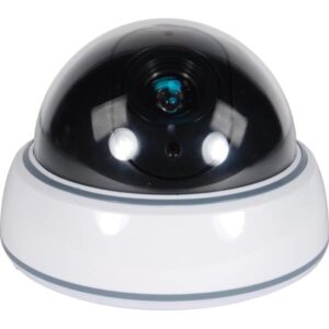 Fake Security Cameras